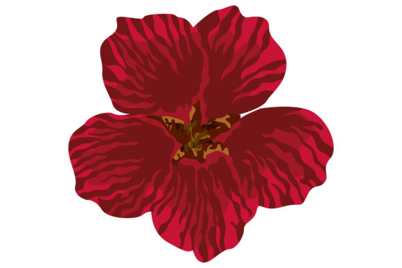 Beautiful Red Petunia Flowers 162: A Practical Graphics & Illustrations Review