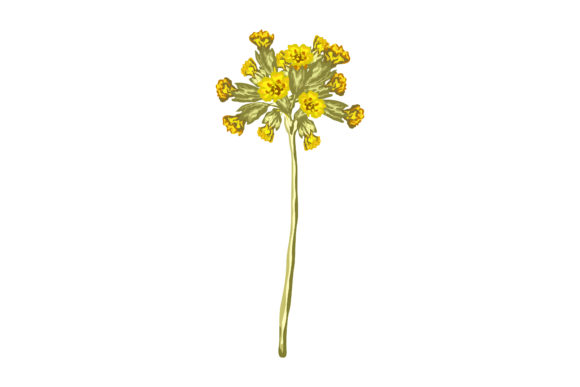 Beautiful Yellow Flowers 148: A Designer's Real-World Review