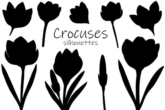Crocuses Silhouettes. Flowers Silhouette Graphics & Illustrations Review