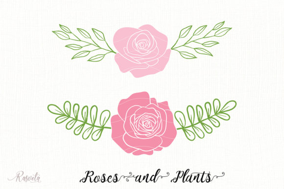 Divider Roses Bouquets 2: A Review of Graphics for Editorial Illustrations