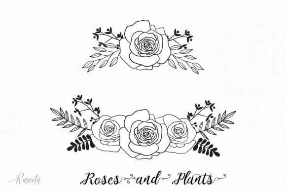 Divider Roses Bouquets Review