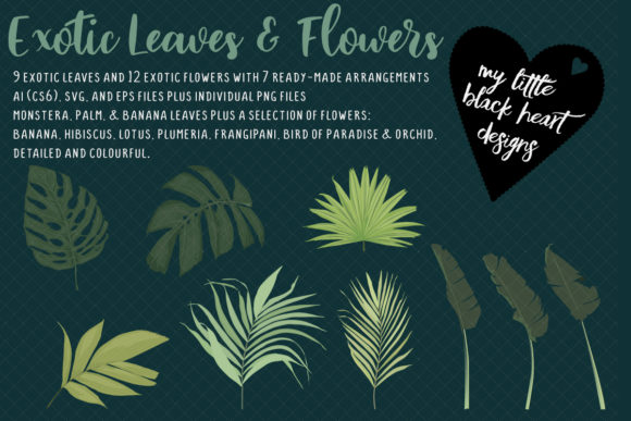 Exotic Leaves and Flowers Graphics and Illustrations Review