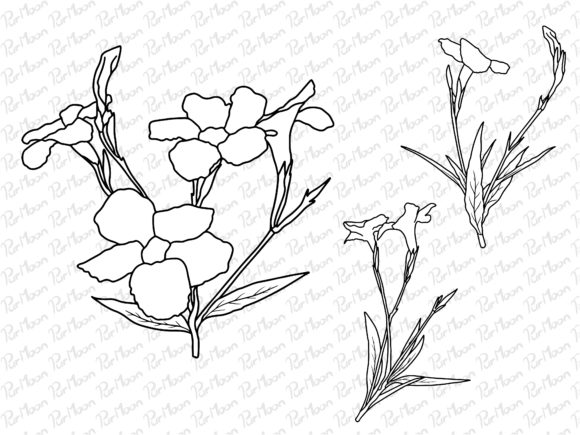 Flowers Line Art: A Practical Review for Graphics and Illustrations