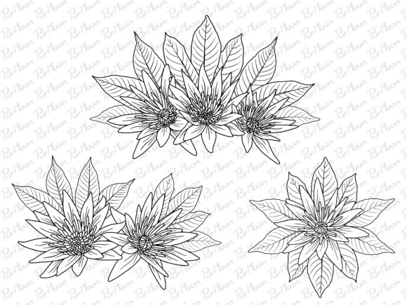Flowers Line Art Arrangements: Premium Graphics & Illustrations for Modern Branding