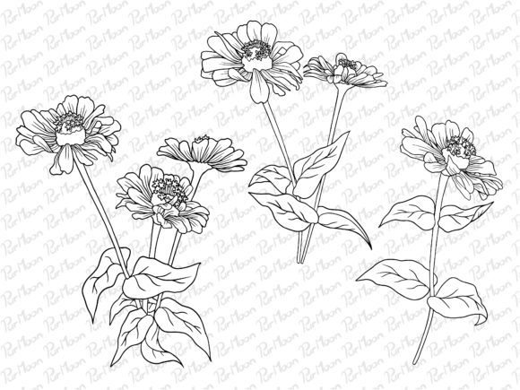 Flowers Line Art SVG Graphics and Illustrations Review