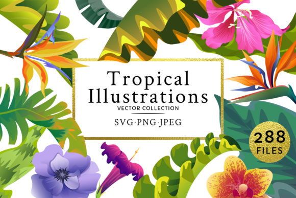 Flowers Tropical Illustration Pack Watercolor Graphics and Illustrations