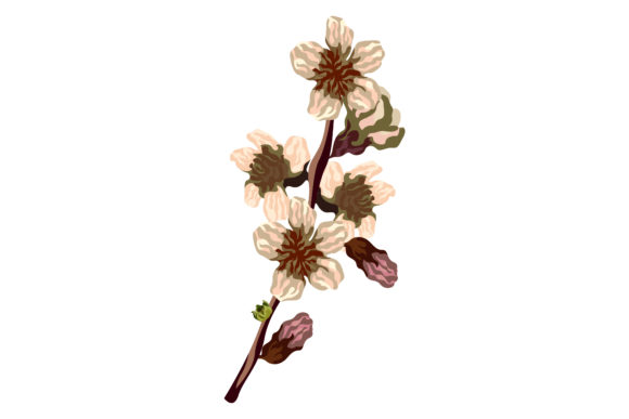 Fresh Cherryblosome Pink Flowers 168 Graphics and Illustrations Review