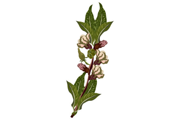 Fresh Cherryblosome Pink Flowers 169 Graphics and Illustrations Review
