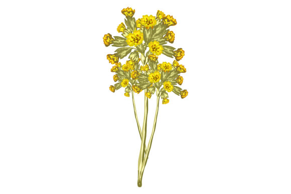 Fresh Yellow Flowers 150: Premium Graphics and Illustrations for Modern Branding