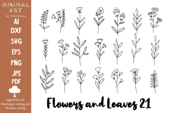 Hand-Drawn Flowers and Leaves Graphics