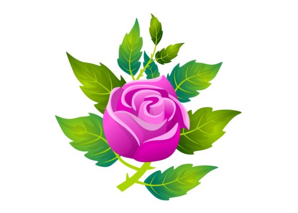 Illustration - Stylized Roses Set: Graphics and Illustrations for Editorial Use