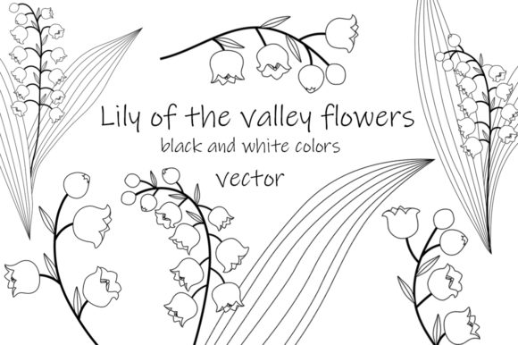 Lilies of the Valley Flowers Graphics and Illustrations Review
