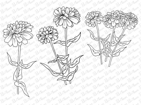 Line Art Flowers Arrangements Graphics and Illustrations Review