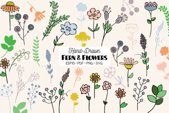 Meadow Ferns Wild Flowers Colored Graphics and Illustrations Review