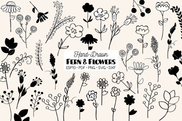 Meadow Ferns Wild Flowers Nature Graphics and Illustrations Review