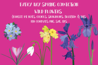 Mixed Wild Flowers Graphics and Illustrations Review