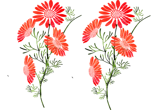 Orange Flowers Graphics and Illustrations Review