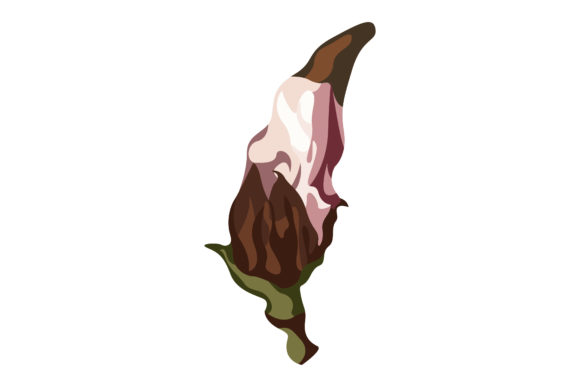 Poisonous Bud Pink Flowers 151: Premium Graphics for Editorial Illustrations