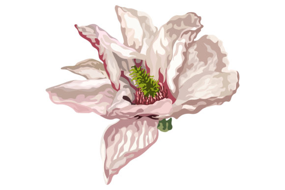 Poisonous Pink Flowers 152: A Designer's Review of Graphics and Illustrations