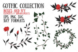 Roses and Ivy Embroidery Design Review