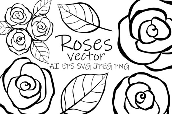 Roses Vector. Roses Flower. Roses Graphics and Illustrations