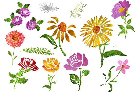 Set of Flowers Graphics and Illustrations Review