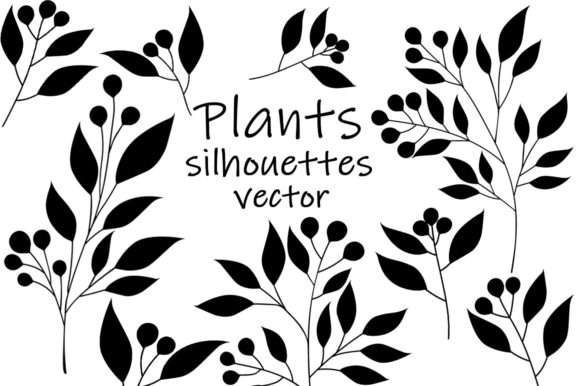 Silhouettes Plants. Flowers Silhouettes Graphics and Illustrations
