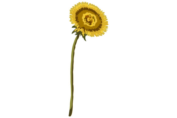 Yellow Flowers Dandelion Stems 40: A Designer’s Review